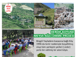 Herdif Köyü’ne Meyve Ağacı Dikme  Projesi