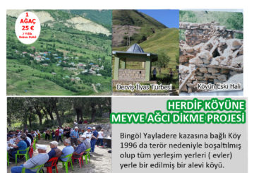 Herdif Köyü’ne Meyve Ağacı Dikme  Projesi