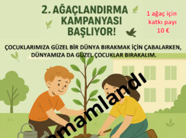 Tercan’da Köy Okulu ve çevresi Ağaçlandırması