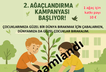 Tercan’da Köy Okulu ve çevresi Ağaçlandırması